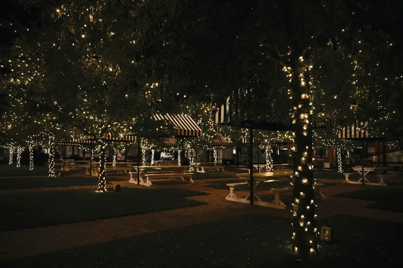 Parque de noche con luces pequeñas en los árboles y mesas entre los troncos